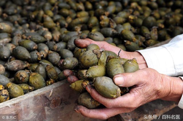 ���ƣ�һ���°��ϸ�����Ƶ�5��Σ����һ����һ������