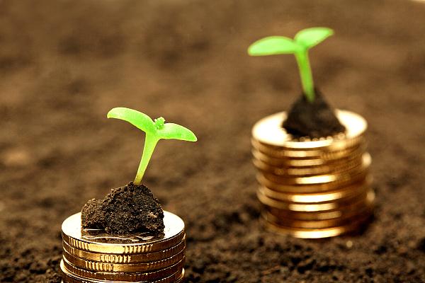 ���塰������ֵ������ʵ��ֵȡ��