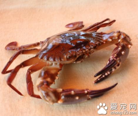 �з��ʲô ��ˮз�Ժ�����