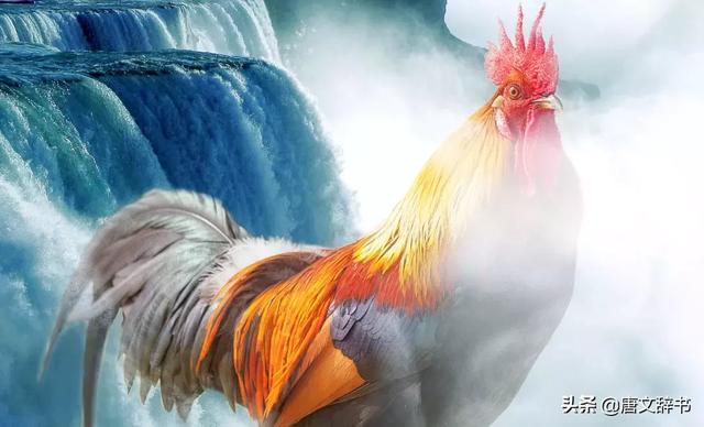 ���ۼ�һ�����°ס����Ͼ���ʲô��