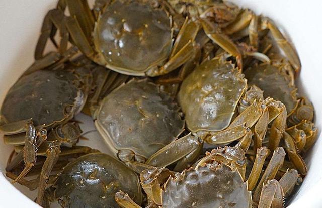 ���зֱ�ӷŹ���������ش����μ��������ϣ���ζ��������