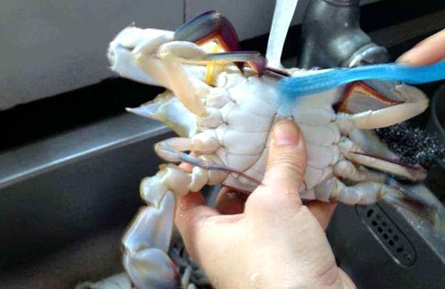 ���зֱ�ӷŹ���������ش����μ��������ϣ���ζ��������