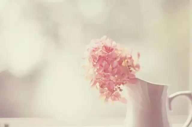 50�伫����ζ�ľ��ӣ���ζ����