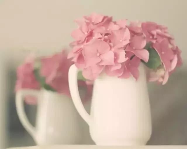 50�伫����ζ�ľ��ӣ���ζ����