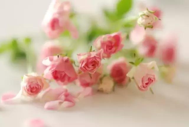 50�伫����ζ�ľ��ӣ���ζ����