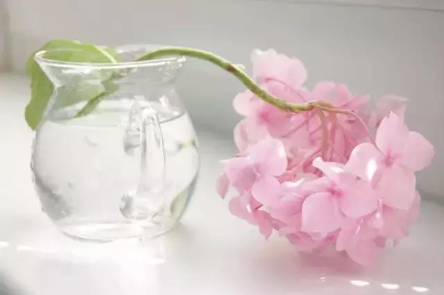 50�伫����ζ�ľ��ӣ���ζ����