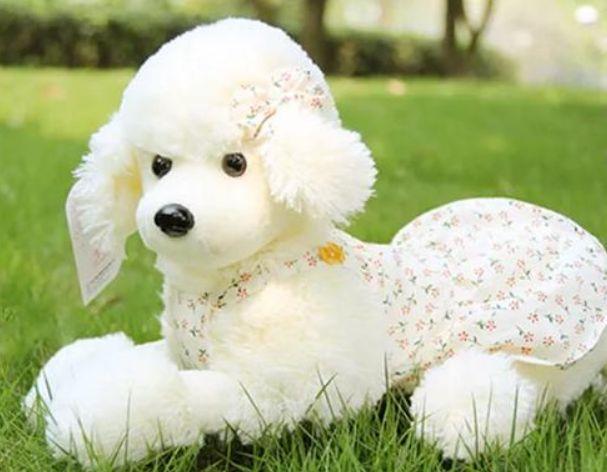 ��в��ԣ�����ϲ����ֻ��ż��������ʲô���ص�����