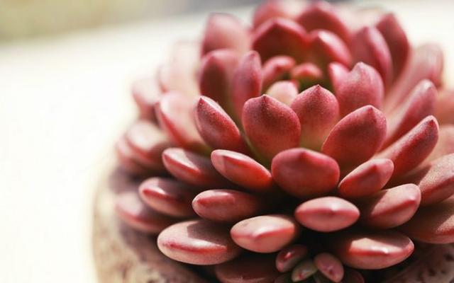 ʲô�Ǻ����-----01