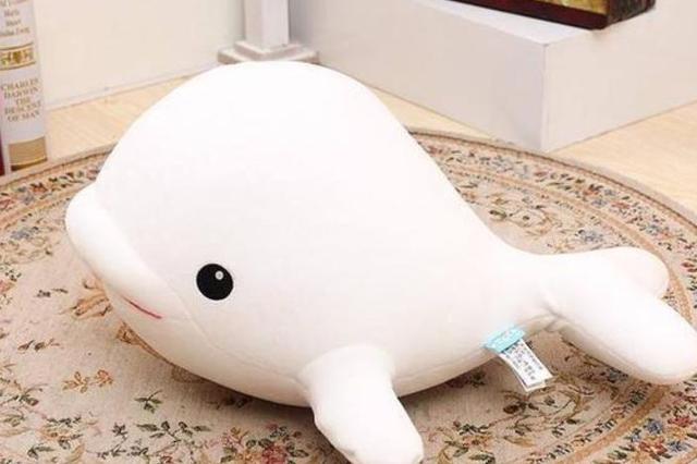 ��в��ԣ�����ϲ����ֻ��ż��������ʲô���ص�����