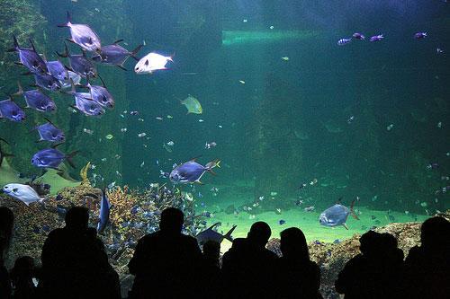 �����������ISO��ԭ����Ӧ��