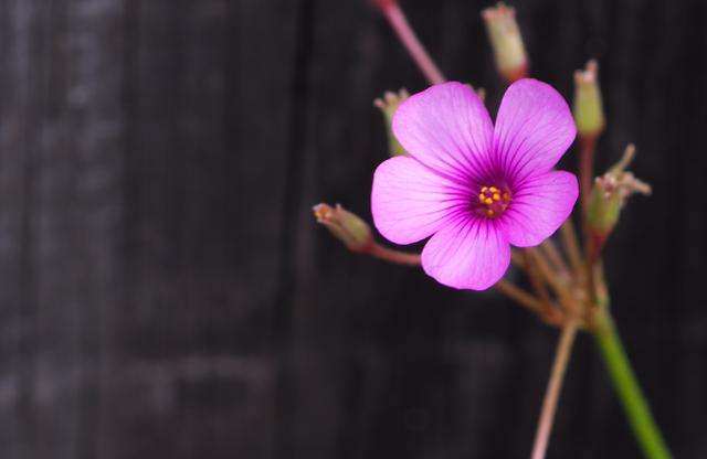 �ڹǸе���ʵ��Ѱ����������