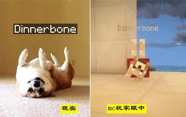 �ҵ����磺ͨ��13��������֪����mc�������һ������������