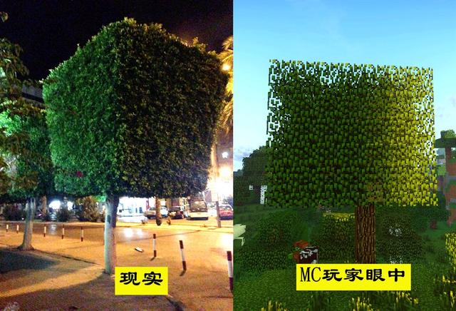 �ҵ����磺ͨ��13��������֪����mc�������һ������������