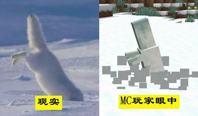 �ҵ����磺ͨ��13��������֪����mc�������һ������������