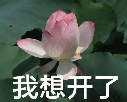 ���ѹ������̵ͣ�û�뵽ȴ�ɹ�������һ��Σ�����ذ�����