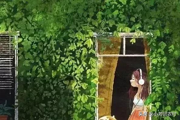 ����ʲô�ˣ��ͻ�����ʲô�ˣ�������ۡ�����Ⱥ��