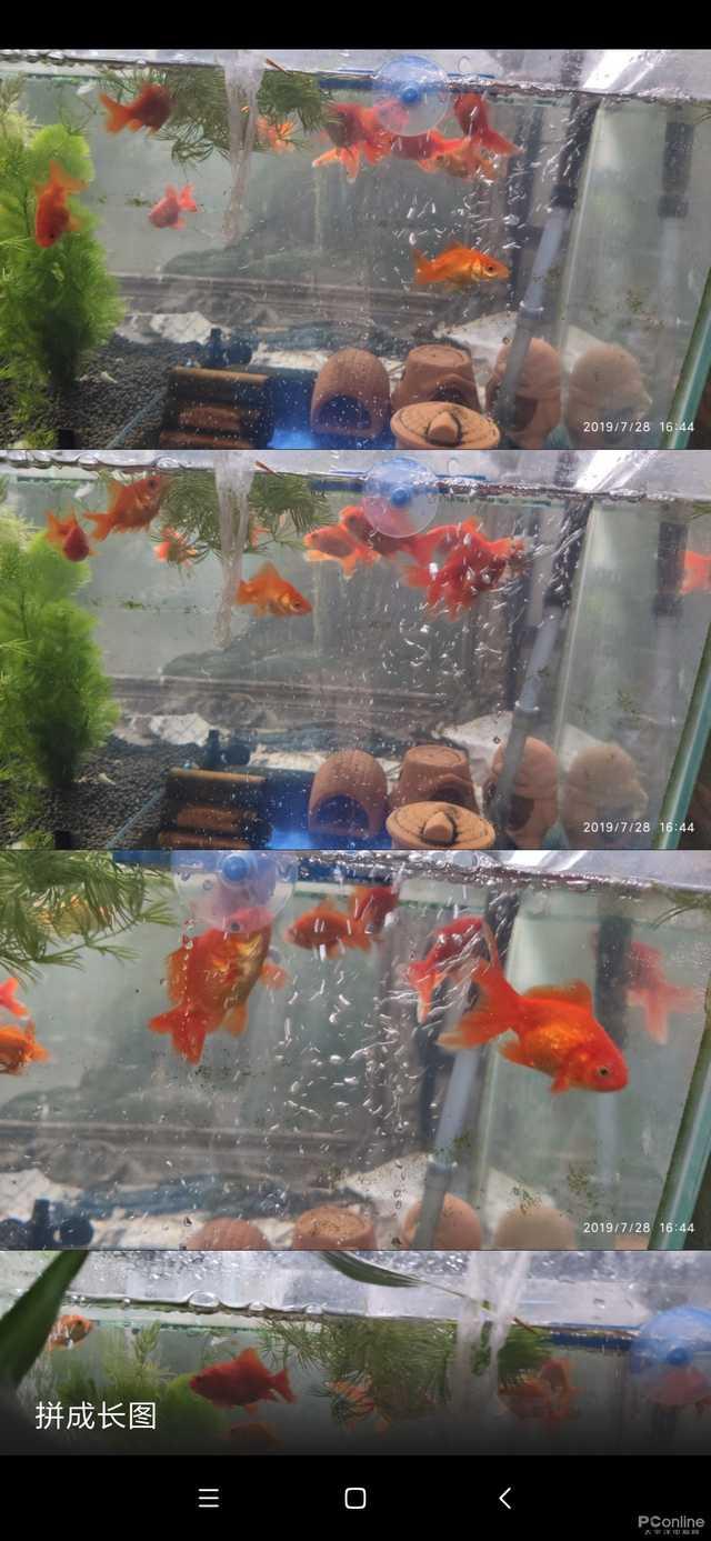 ���Դ��������ܣ��ֻ�QQ���°���ϸ����