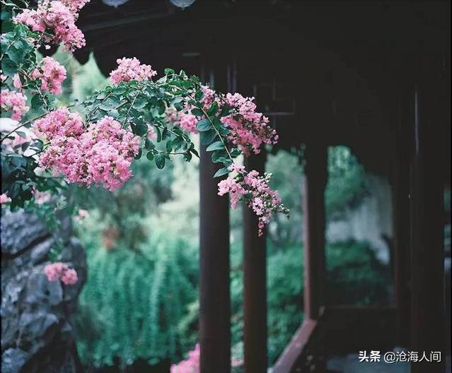 21���д����ԵĴ�����