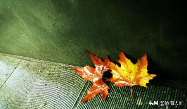 21���д����ԵĴ�����