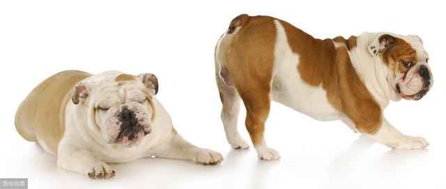 һ����һ��Ҫ�Ŷ���ƨ��ƨ̫���ǲ���ƨ�ܵ�ȼ��ҽ������������