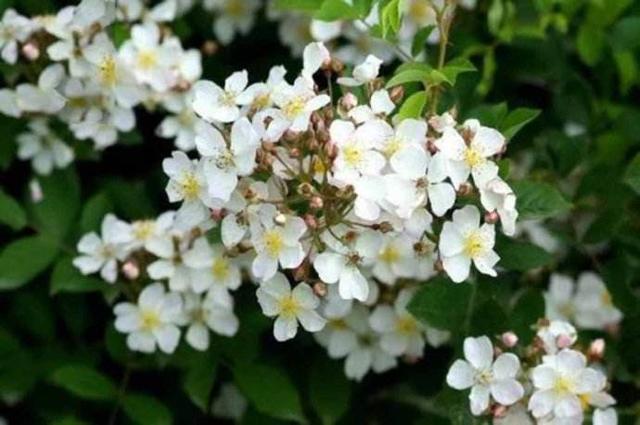 ݱ���Ǹ�ʲô������������ݱ��ʫ��