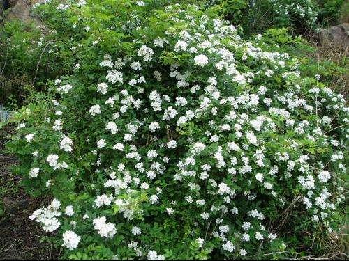 ݱ���Ǹ�ʲô������������ݱ��ʫ��