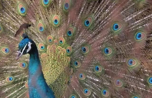 ����ح��ȸ������˲�䣬��������Ϣ����~