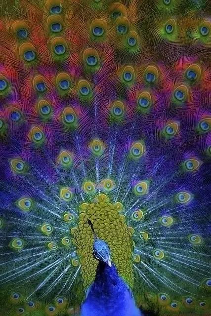 ����ح��ȸ������˲�䣬��������Ϣ����~