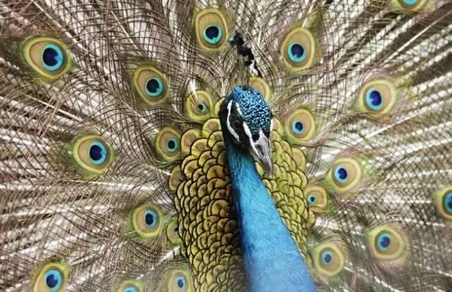 ����ح��ȸ������˲�䣬��������Ϣ����~