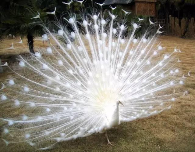 ����ح��ȸ������˲�䣬��������Ϣ����~