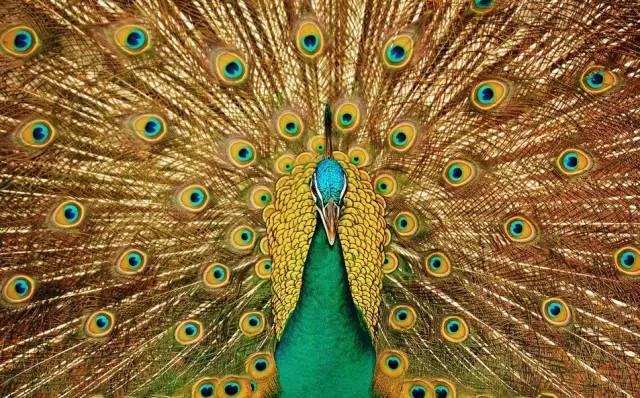 ����ح��ȸ������˲�䣬��������Ϣ����~