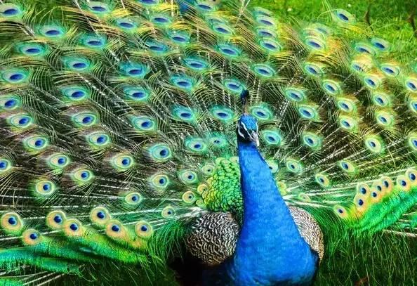 ����ح��ȸ������˲�䣬��������Ϣ����~