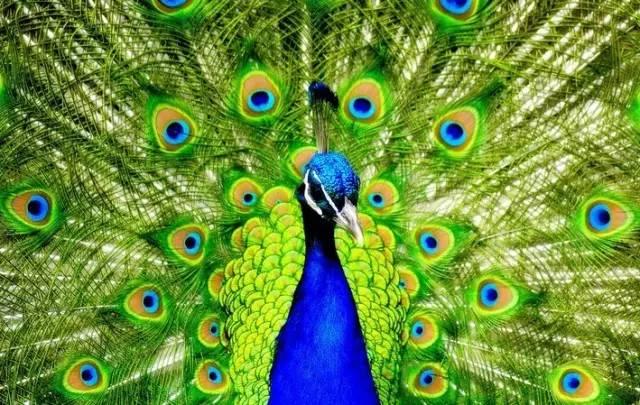 ����ح��ȸ������˲�䣬��������Ϣ����~