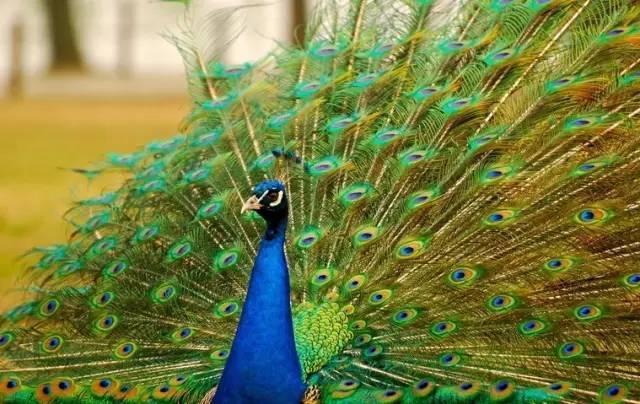 ����ح��ȸ������˲�䣬��������Ϣ����~