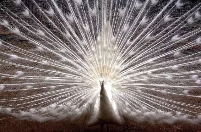 ����ح��ȸ������˲�䣬��������Ϣ����~