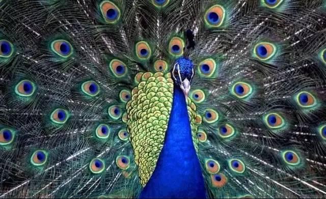 ����ح��ȸ������˲�䣬��������Ϣ����~