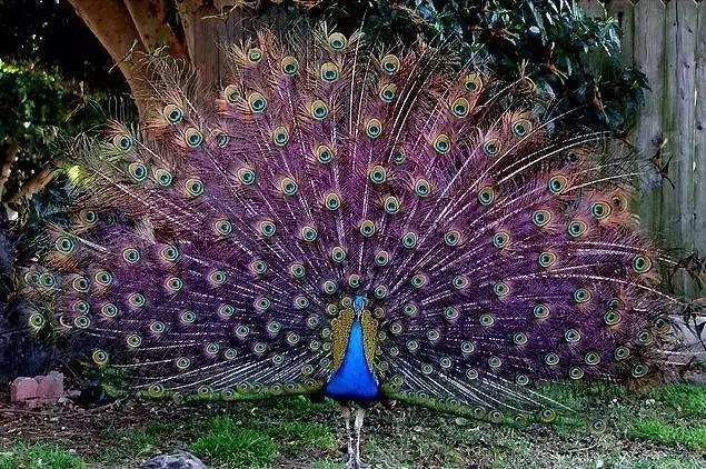 ����ح��ȸ������˲�䣬��������Ϣ����~