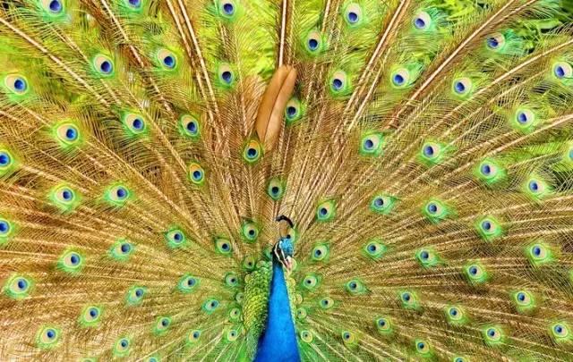 ����ح��ȸ������˲�䣬��������Ϣ����~