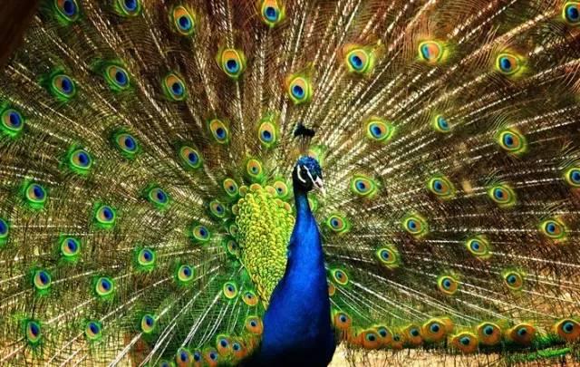 ����ح��ȸ������˲�䣬��������Ϣ����~