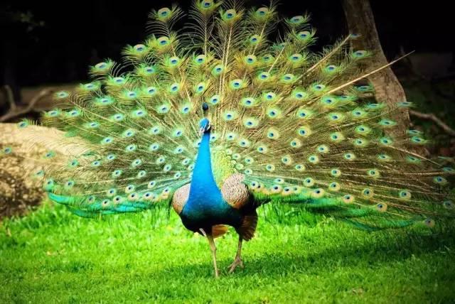 ����ح��ȸ������˲�䣬��������Ϣ����~