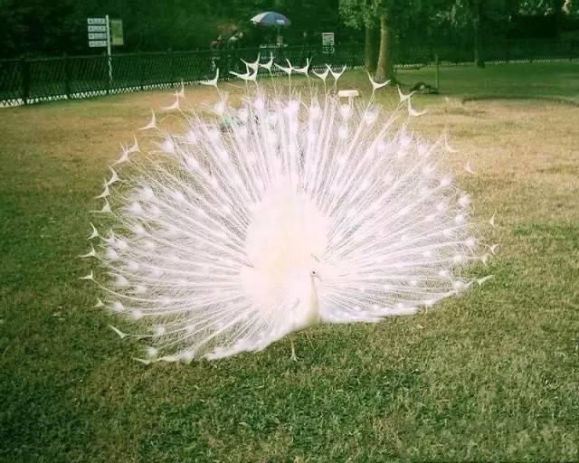 ����ح��ȸ������˲�䣬��������Ϣ����~