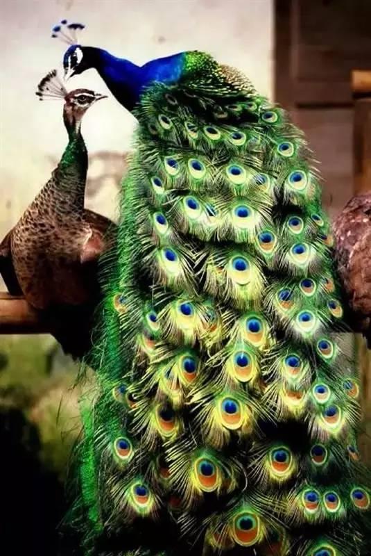 ����ح��ȸ������˲�䣬��������Ϣ����~