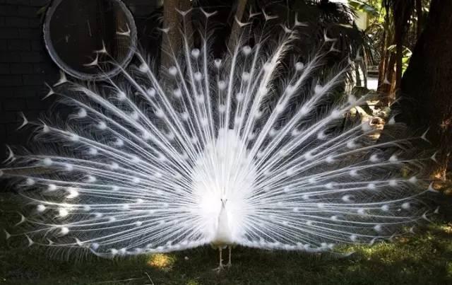 ����ح��ȸ������˲�䣬��������Ϣ����~