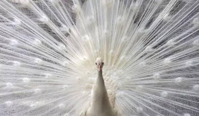 ����ح��ȸ������˲�䣬��������Ϣ����~