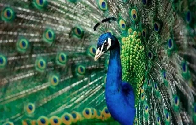 ����ح��ȸ������˲�䣬��������Ϣ����~