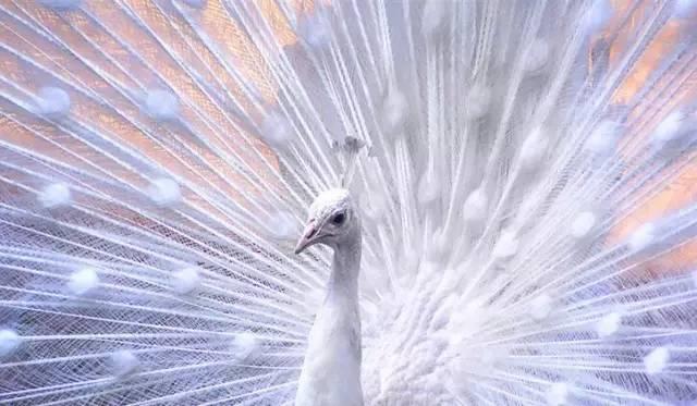 ����ح��ȸ������˲�䣬��������Ϣ����~