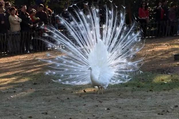 ����ح��ȸ������˲�䣬��������Ϣ����~