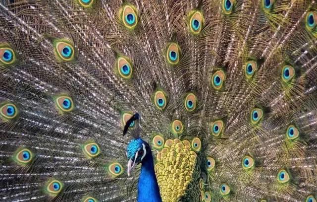 ����ح��ȸ������˲�䣬��������Ϣ����~