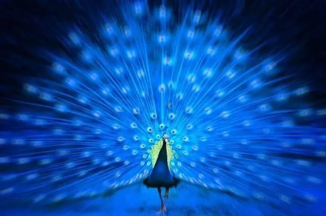 ����ح��ȸ������˲�䣬��������Ϣ����~