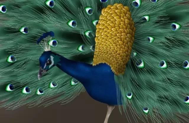 ����ح��ȸ������˲�䣬��������Ϣ����~